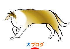 にほんブログ村 犬ブログへ