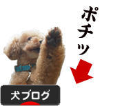 にほんブログ村 犬ブログへ