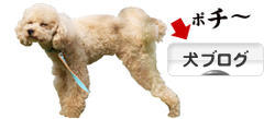 にほんブログ村 犬ブログへ