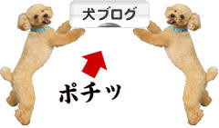 にほんブログ村 犬ブログへ