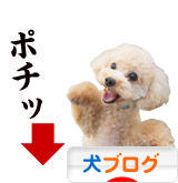 にほんブログ村 犬ブログへ