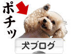 にほんブログ村 犬ブログへ
