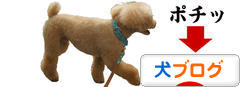 にほんブログ村 犬ブログへ