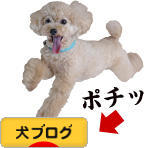 にほんブログ村 犬ブログへ