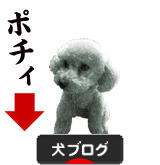 にほんブログ村 犬ブログへ
