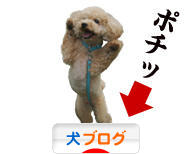 にほんブログ村 犬ブログへ