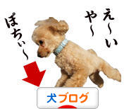 にほんブログ村 犬ブログへ