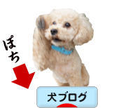 にほんブログ村 犬ブログへ
