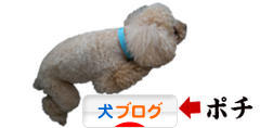 にほんブログ村 犬ブログへ