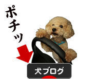 にほんブログ村 犬ブログへ