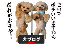 にほんブログ村 犬ブログへ