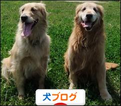 にほんブログ村 犬ブログへ