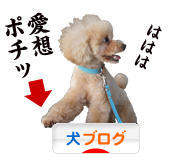 にほんブログ村 犬ブログへ