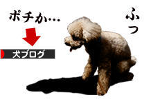にほんブログ村 犬ブログへ