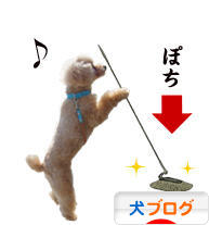 にほんブログ村 犬ブログへ