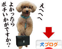 にほんブログ村 犬ブログへ