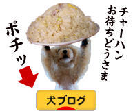 にほんブログ村 犬ブログへ