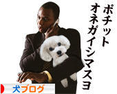 にほんブログ村 犬ブログへ