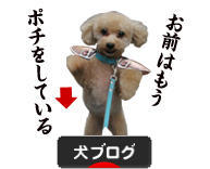 にほんブログ村 犬ブログへ