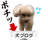 にほんブログ村 犬ブログへ
