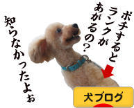 にほんブログ村 犬ブログへ