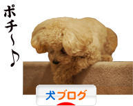 にほんブログ村 犬ブログへ