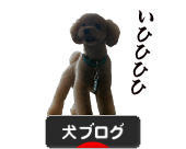 にほんブログ村 犬ブログへ