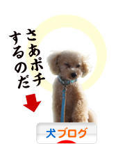 にほんブログ村 犬ブログへ