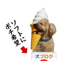 にほんブログ村 犬ブログへ