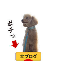 にほんブログ村 犬ブログへ