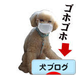 にほんブログ村 犬ブログへ