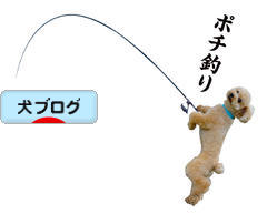 にほんブログ村 犬ブログへ