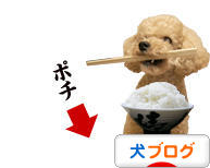 にほんブログ村 犬ブログへ