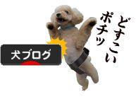 にほんブログ村 犬ブログへ