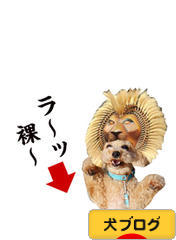 にほんブログ村 犬ブログへ