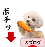 にほんブログ村 犬ブログへ