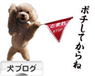 にほんブログ村 犬ブログへ