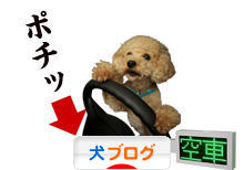 にほんブログ村 犬ブログへ