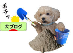 にほんブログ村 犬ブログへ