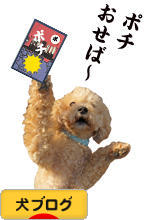 にほんブログ村 犬ブログへ
