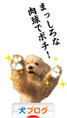 にほんブログ村 犬ブログへ