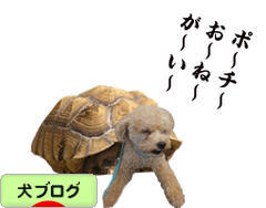にほんブログ村 犬ブログへ