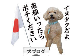 にほんブログ村 犬ブログへ