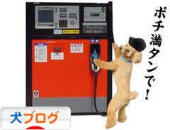 にほんブログ村 犬ブログへ