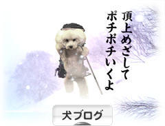 にほんブログ村 犬ブログへ