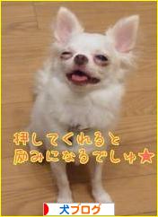 にほんブログ村