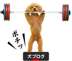 にほんブログ村 犬ブログへ