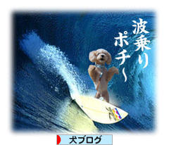 にほんブログ村 犬ブログへ