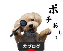 にほんブログ村 犬ブログへ