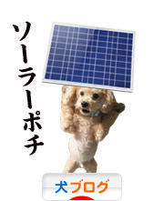 にほんブログ村 犬ブログへ